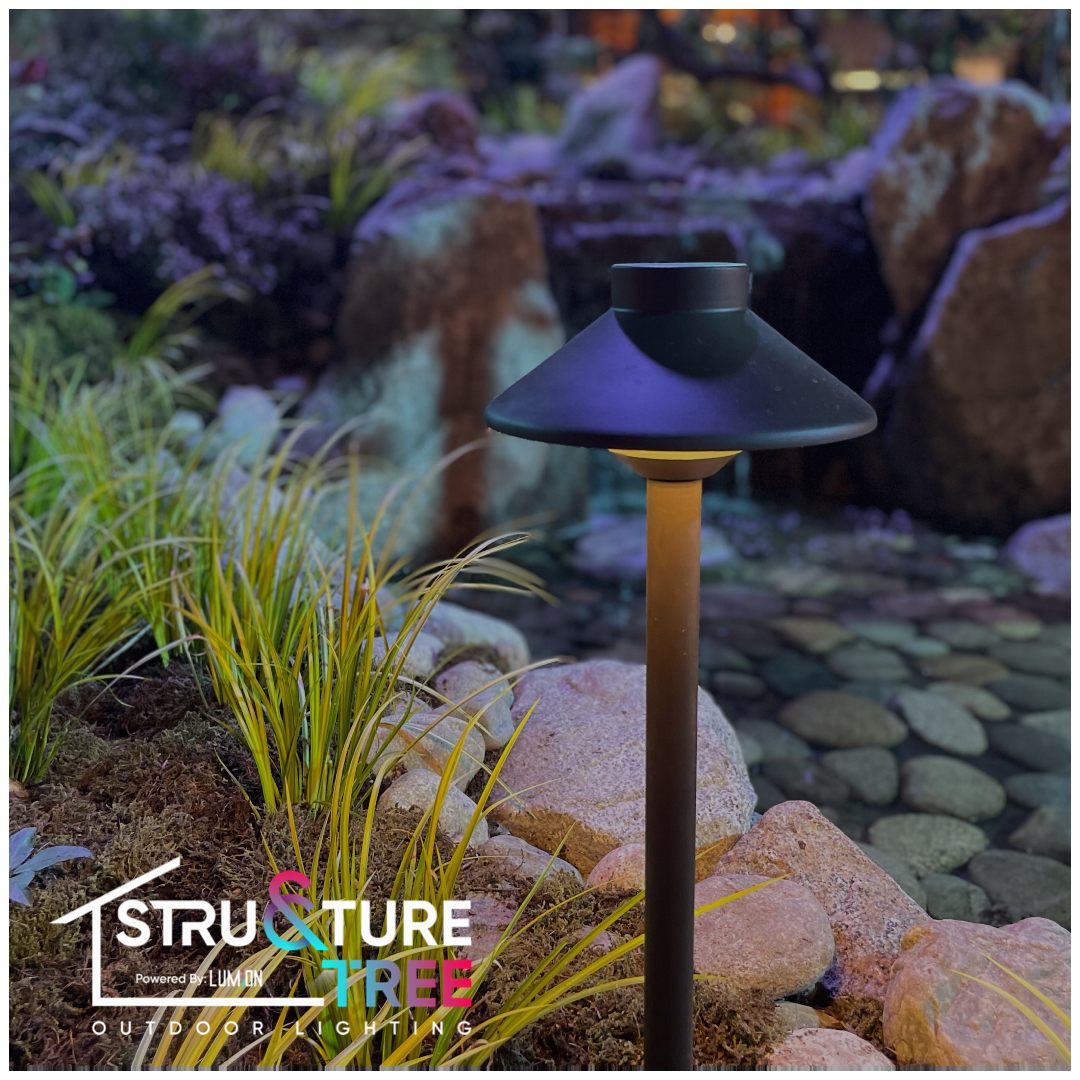 Dark Sky Ordinances and How Landscape Lighting Can Help