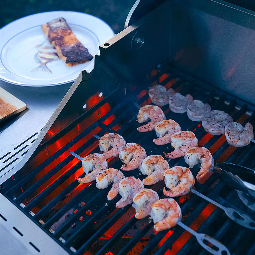 Mesa 400 | Stainless Gas Grill