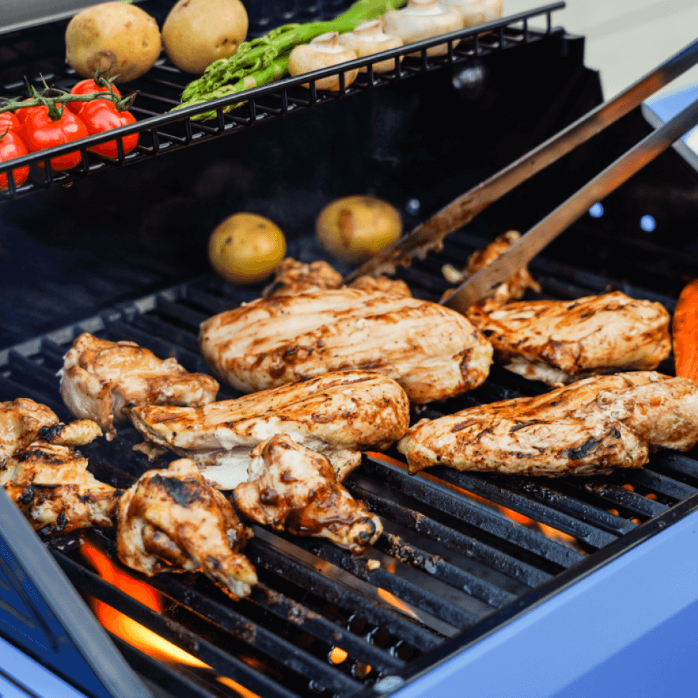 Mesa 200 | Colorful Gas Grill