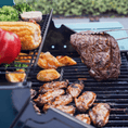 Load image into Gallery viewer, Mesa 200 | Colorful Gas Grill
