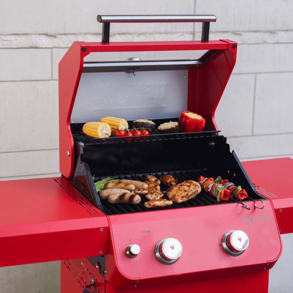 Mesa 200 | Colorful Gas Grill