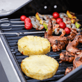 Load image into Gallery viewer, Mesa 200S | Stainless Gas Grill
