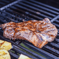 Load image into Gallery viewer, Mesa 305 | Stainless Gas Grill
