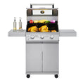 Load image into Gallery viewer, Mesa 300 | Stainless Gas Grill
